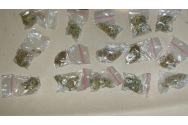 Etnobotanicele, „otrăvuri sintetice, făcute în laboratoare clandestine”