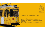 „Tramvaiul Responsabilității” pornește din nou la drum pentru cățeii fără stăpân