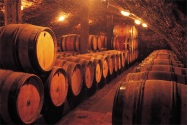 Producția de vin din România, în scădere în ultimii ani. Care sunt motivele și pe ce loc se plasează țara noastră în clasamentul mondial 