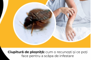 Ciupitură de ploșniță: cum o recunoști și ce poți face pentru a scăpa de infestare