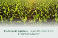 Insecticide agricole – aliatul fermierului în protecția culturilor 