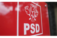 Cornel Nistorescu:PSD-ul ca musca în borcan