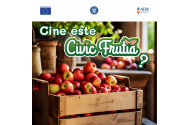 CIVIC FRUTIA - Comunitatea Producătorilor Locali