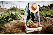 Incepi o afacere in domeniul agricol? Iata de ce ai nevoie