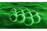 LIVETEXT Noul virus chinez Numărul deceselor a urcat la 170, virusul a ajuns în India și Filipine / 6.000 de turiști, blocați pe o navă de croazieră din Italia din cauza a doi chinezi cu simptome