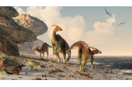 Boala veche de 66 de milioane de ani care afectează omenirea astăzi. A fost descoperită într-o fosilă de dinozaur