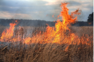 Nouă incendii într-o singură zi!