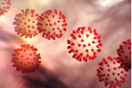 Epidemia de Coronavirus, PREZISĂ într-o carte din 1981. Detalii SUMBRE
