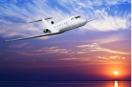 Cea mai mare companie aeriană își suspendă zborurile spre China și Teheran din cauza epidemiei de coronavirus