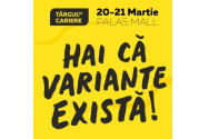 Retailul, serviciile cu clienții și automotive-ul sunt domeniile în care se caută cele mai multe locuri de muncă la Iași