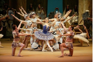   Teatrul Bolşoi s-a închis