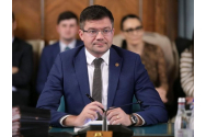 Costel Alexe, declaraţii despre defrişările de la Dobrovăţ