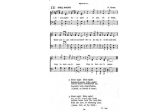 Amadeus Electric Quartet - Carmen (Habanera)  VIDEO