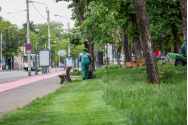 Iaşul, un oraş tot mai verde!