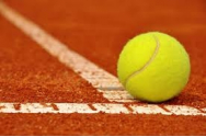 In aceasta luna incepe un nou turneu de tenis: Ce jucatoare de top si-au anuntat prezenta
