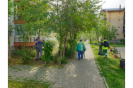 Amplă campanie de curăţenie a spaţiilor verzi la Termo-Service