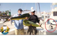 Reguli noi pentru pescari. Trebuie să stea la 10 m distanță, nu au voie să socializeze, să consume alcool și să facă grătar
