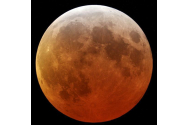 Emiratele Arabe Unite lanseaza luna viitoare prima misiune spatiala spre Marte