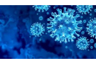 Medicul care s-a luptat cu HIV și Ebola, avertisment: 'E imposibil să închidem iar țările din cauza COVID-19. O asemenea strategie are consecințe grave'