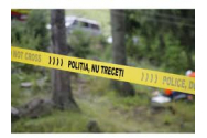 Un bărbat de 53 de ani a fost omorât cu parul de un cioban beat