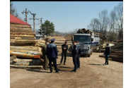 Opţiunile strategice pentru politica forestieră a României pentru următorii 10 ani vor fi finalizate până în noiembrie