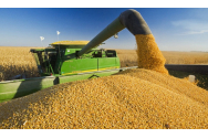 Rusia, Canada si Australia, primele in topul productiei de grau din acest sezon. Romania inregistreaza o scadere de 49% fata de 2019